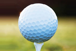 Networking Golf Day